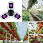 Kép 4/4 - Növénynevelő LED lámpa, 240 LED, piros-kék fény, E27 foglalat