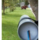 Kép 2/3 - KEMO M161 ultrahangos vadriasztó  300 méter 12V PIEZO 120dB