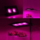 Kép 9/9 - Növénynevelő COB LED lámpa, ultravékony, teljes spektrumú növekedési lámpa (50 W)