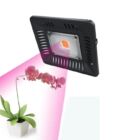 Kép 1/9 - Növénynevelő COB LED lámpa, ultravékony, teljes spektrumú növekedési lámpa (50 W)
