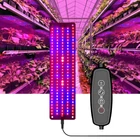 Kép 1/11 - Növénynevelő LED lámpa, 12V, teljes spektrumú  (8x30 cm ALU 1 fej)