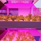 Kép 2/11 - Növénynevelő LED lámpa, 12V, teljes spektrumú  (8x30 cm ALU 2 fej)