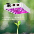 Kép 5/6 - Növénynevelő LED lámpa, teljes spektrumú, vízálló, négyzetes (Quantum 216 LED) 