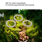 Kép 4/7 - Növény nevelő LED lámpa kerek 3-as (kék-piros)