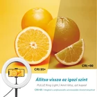 Kép 7/14 - PULUZ 26 cm LED körfény (Ringlight) körlámpa asztali tartóval, telefontartóval (fehér)