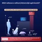 Kép 6/12 - Egérriasztó ultrahangos rovar, rágcsáló és kártevőriasztó, villogó LED fénnyel, 300m2 (fekete)